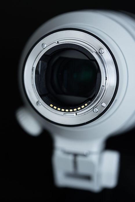Sony 100-400 GM OSS 4.5/5.6