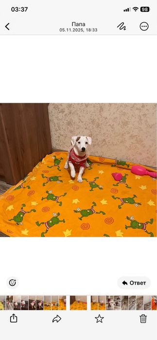 Красивая девочка ищет родителей