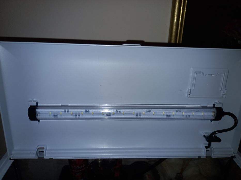 Aquario novo com luz led