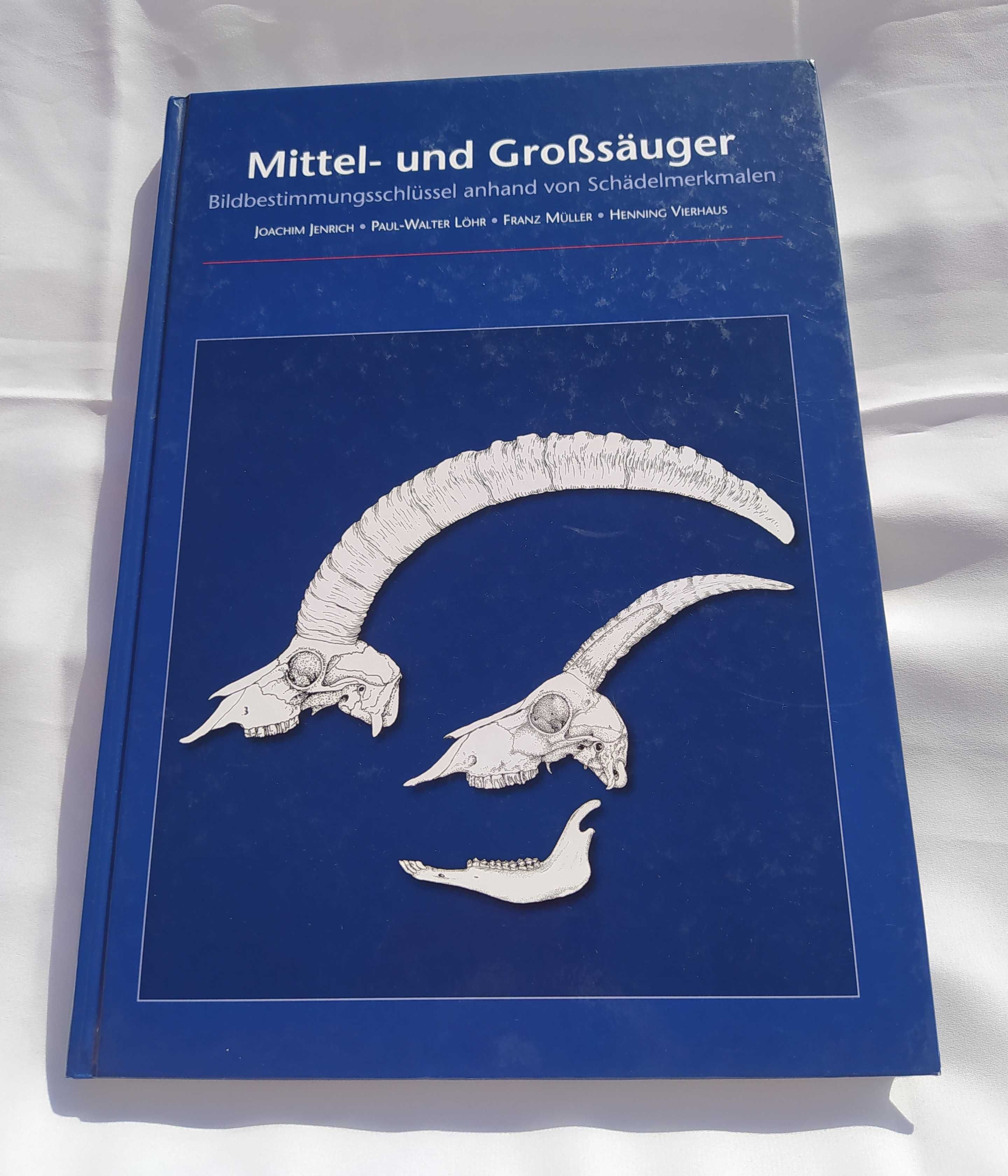 Mittel und Großsäuger