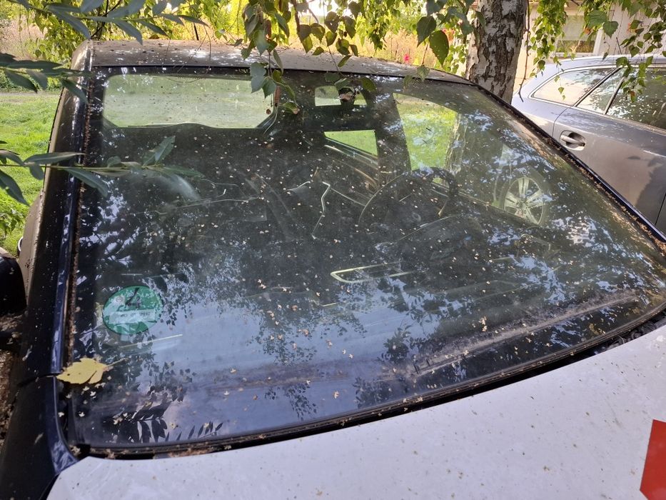 Szyba przednia śkoda Citigo vw up oryginalna