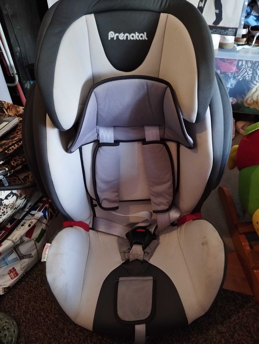 Cadeira Auto Pre Natal Evolution - SIDE ARMOR