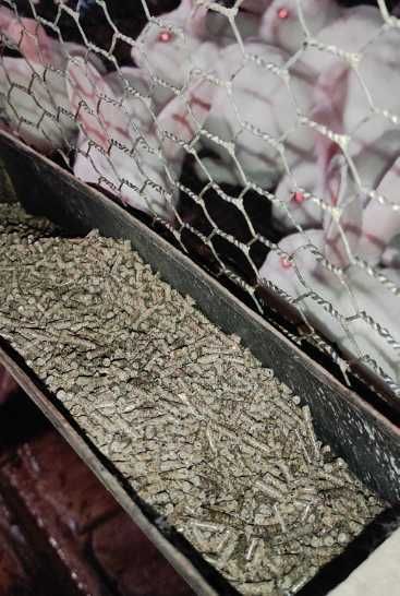 Комбікорм для кролів преміум з вітамінами повноцінний