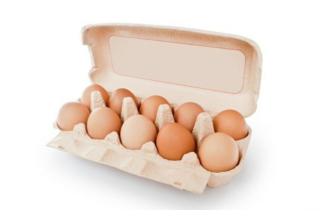 Курячі яйця домашні без ГМО