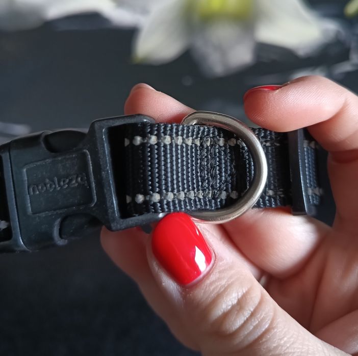 Obroża dla psa odblaskowa, regulowana, czarna, z klamrą