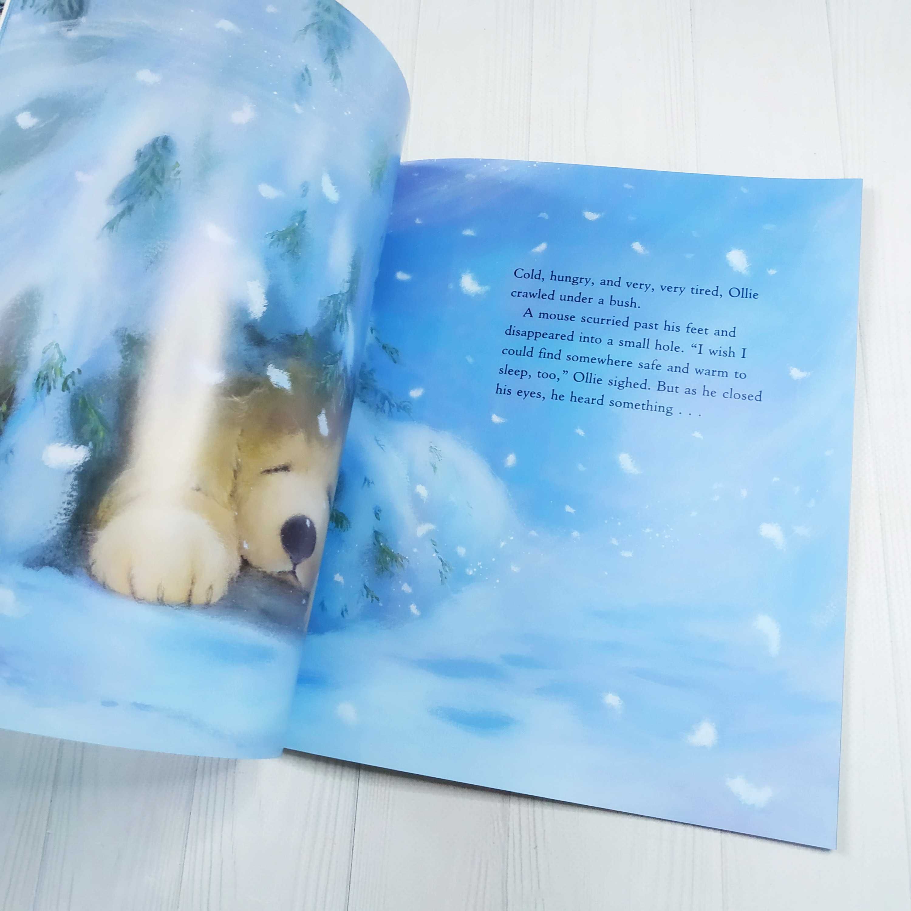 Детская книга на английском Lost in the Snow