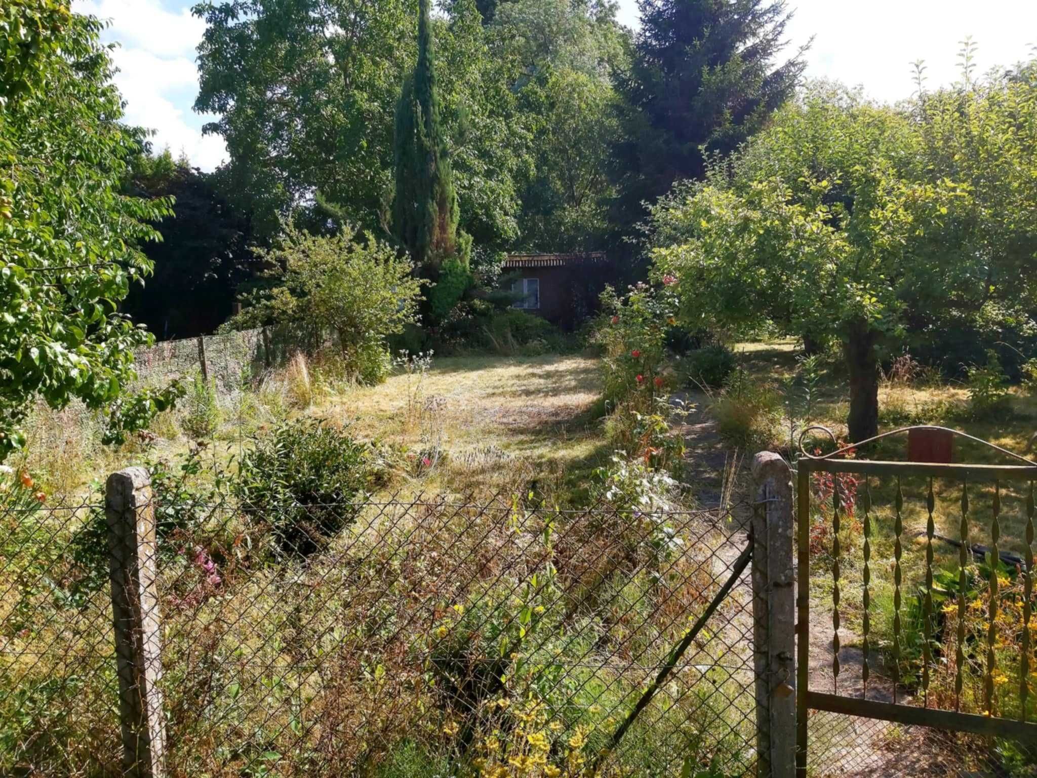 Działka ROD Szczecin "Relaks" ul. Nehringa 11a