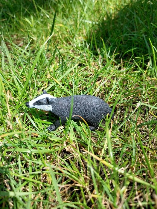 Borsuk firmy schleich
