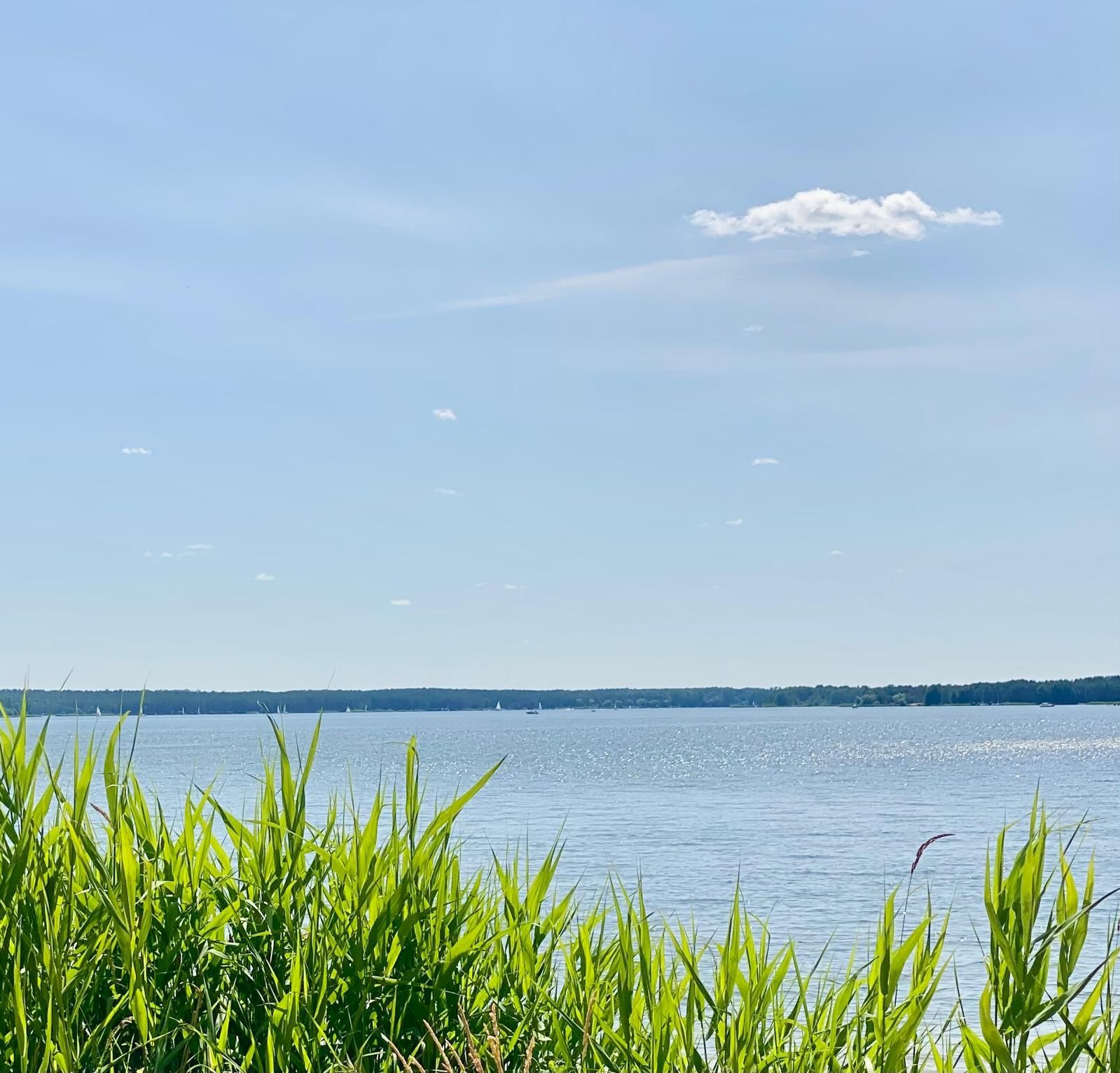 Domek nad Zalewem Sulejowskim do wynajęcia - wypoczynek !