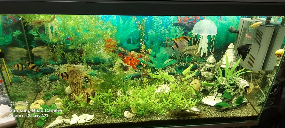 Аквариум с рыбками, с тумбой.