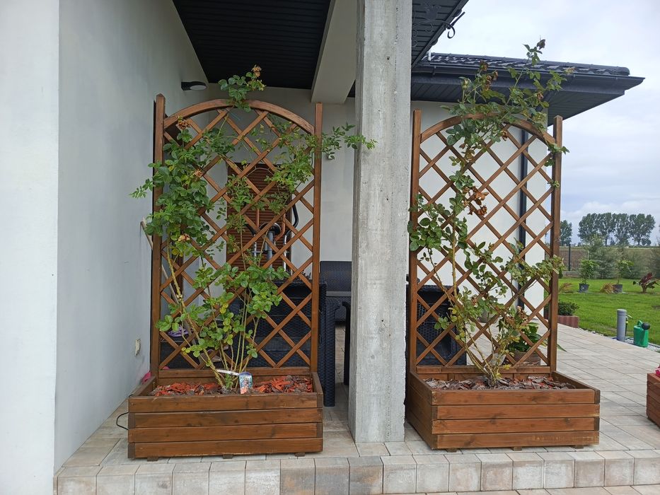 Donica z pergola i różami