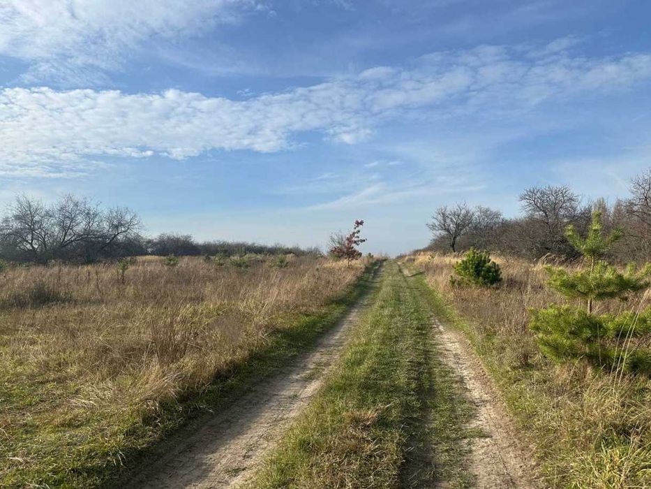 Продаж ділянки 10 соток під забудову. Біля лісу.Зручний під'їзд.ID:728