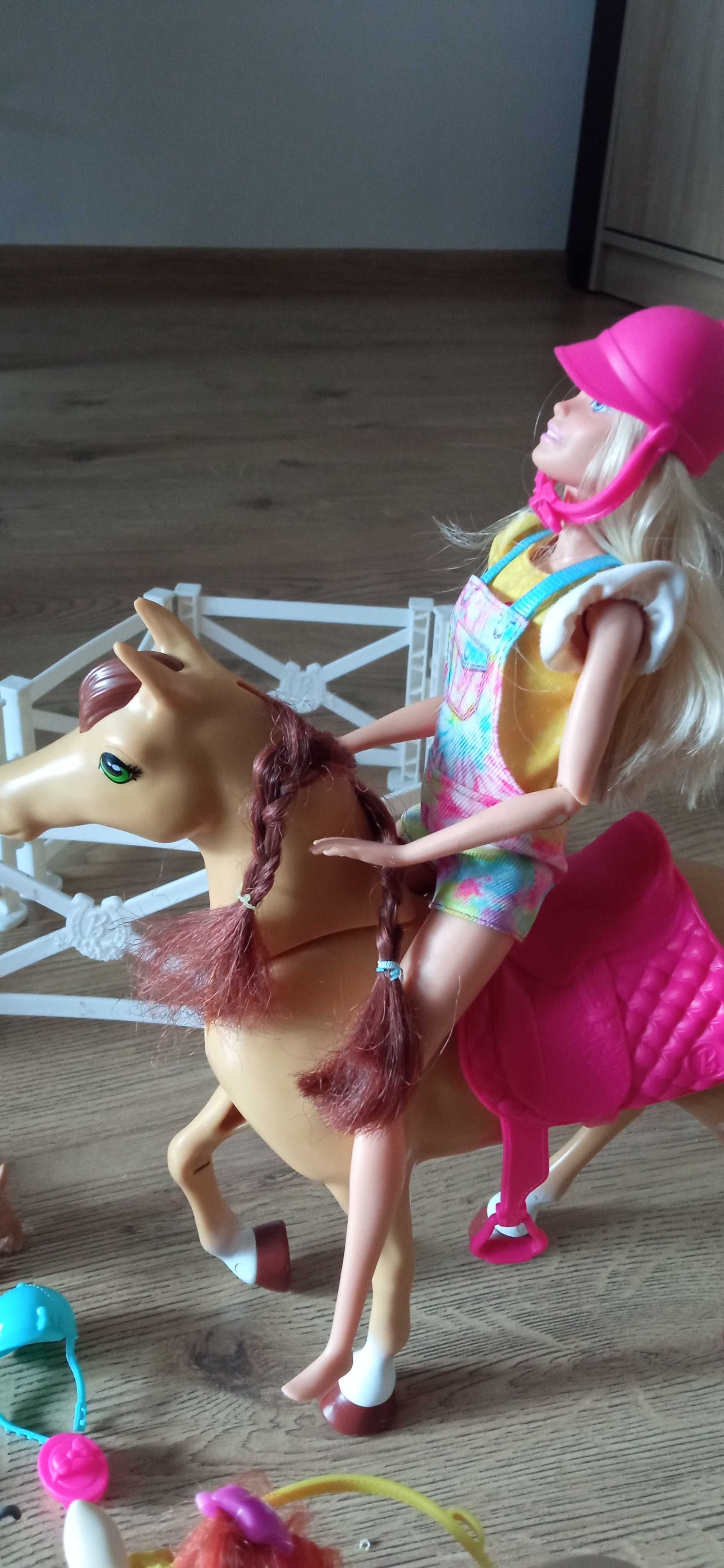 Konie Barbie stadnina