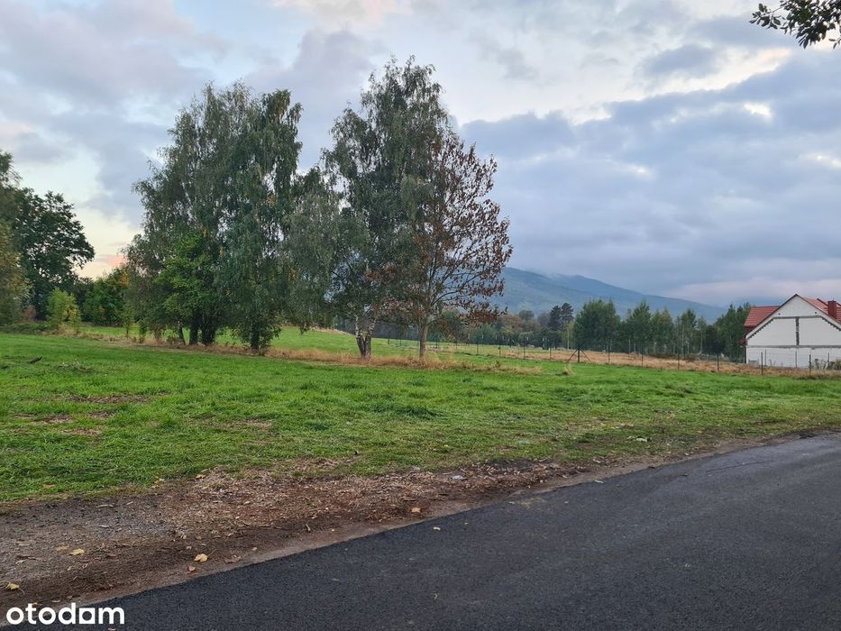 Sprzedam działkę budowlaną 586m2 w Kowarach