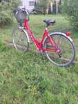 Rower damski Rixe 28 " nie Kross giant