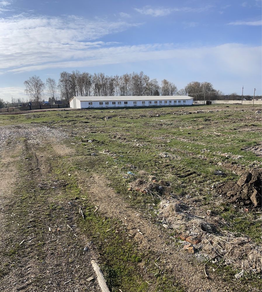 Ангар приміщення цехи оренда 1000м3  промисловість корівник телятник