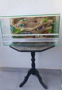 Terrarium dla węża