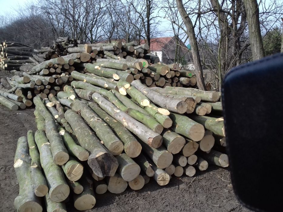 SEZONOWANE Drewno Kominkowe i Opałowe Grab, Buk, Jesion, Jawor,Dąb