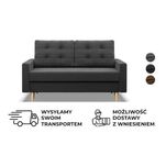 Sofa Kanapa 2-osobowa Rozkładana do Salonu Poczekalni Pojemnik Blank
