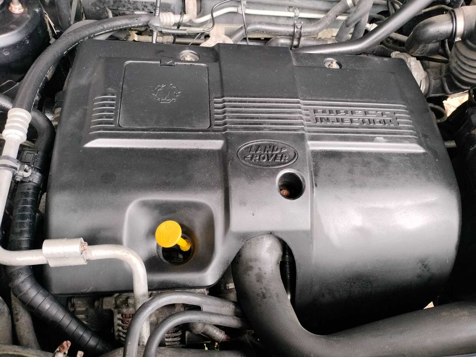 Jeep ideal para passear pela natureza