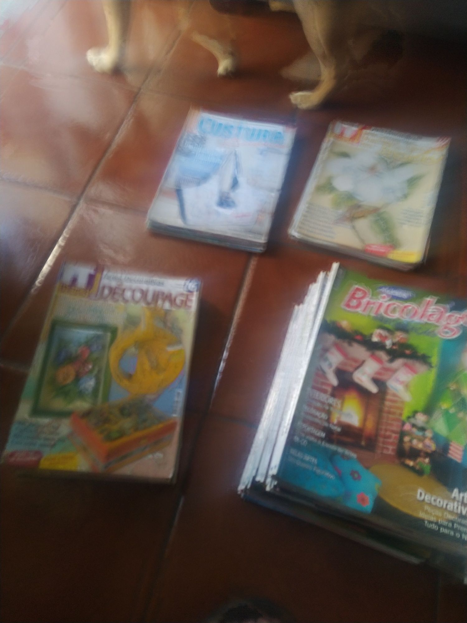 Mais de 100 Revistas de bricolage e decoraçao