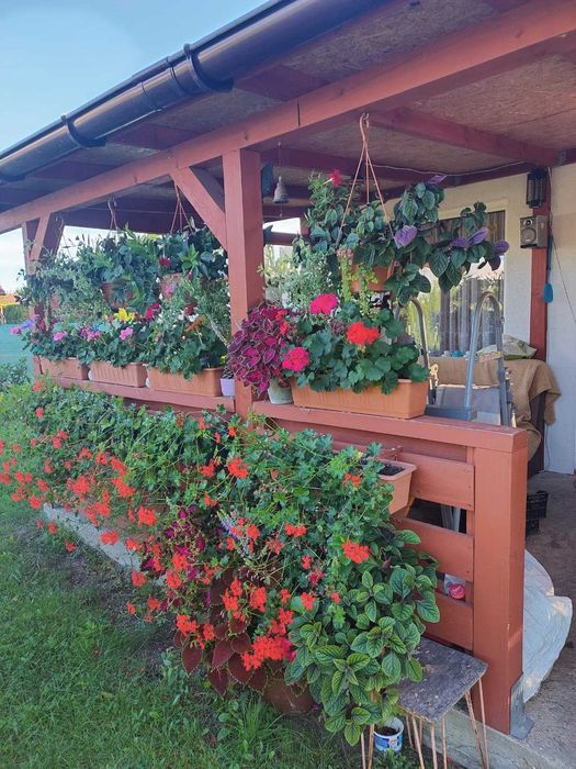 2 Działki Rekreacyjno -Ogrodowe