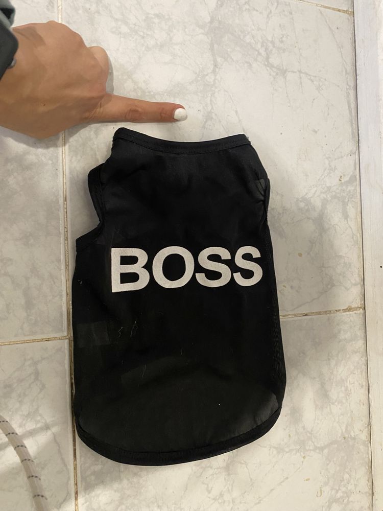 Camisola para cão pequeno