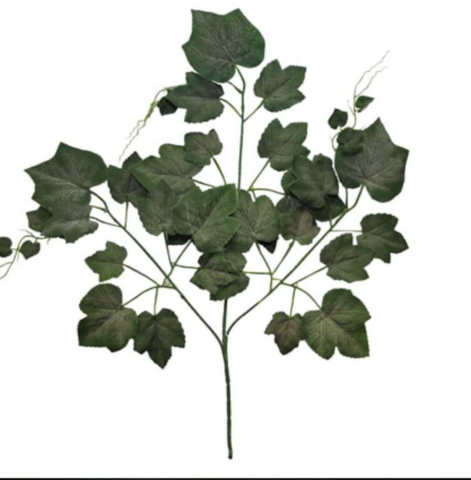 liści winogrona omszałe ciemna zieleń 3x39 liści 12 szt