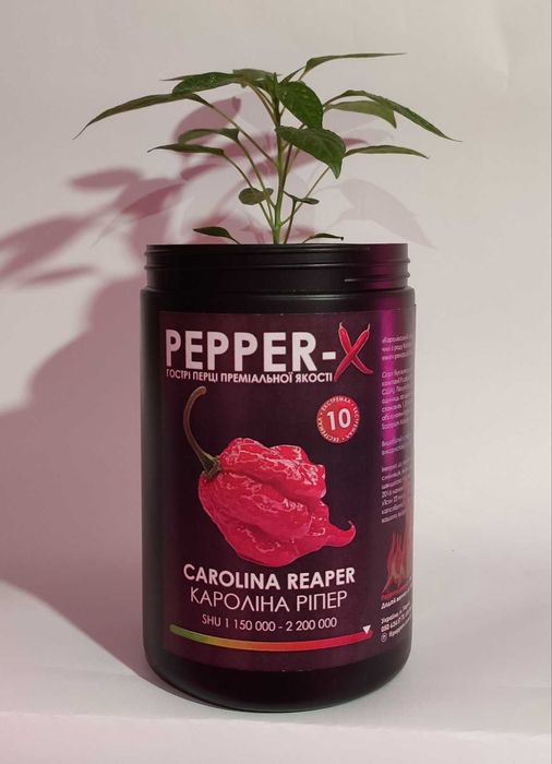 Carolina Reaper - Набор для проращивания самого острого перца в мире