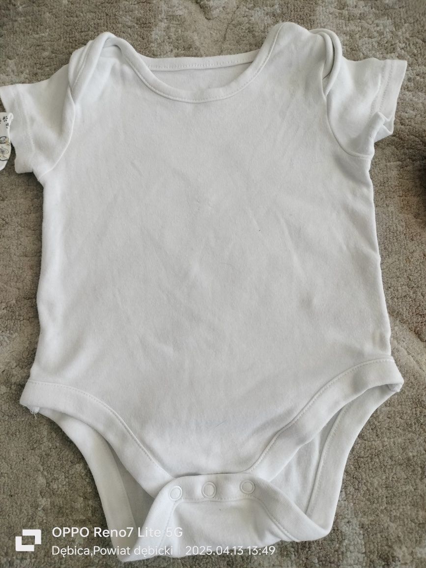 Body niemowlęce chłopięce r.68