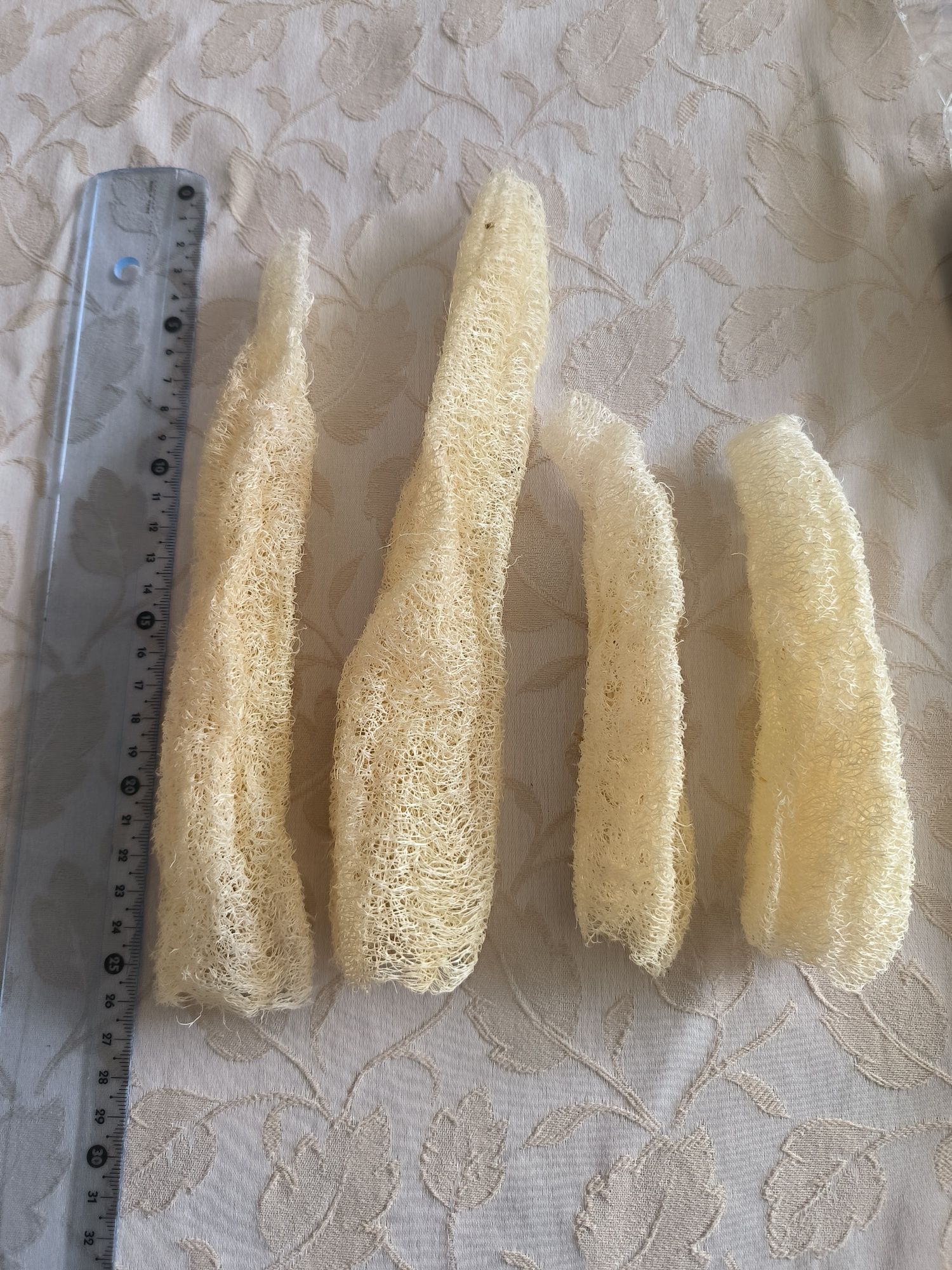 Esponja luffa ( para corpo ou lavar a loiça)