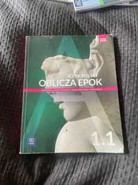 oblicza epok 1.1 wsip