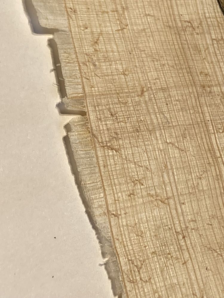 Obrazek papirus - pamiątka z Egiptu
