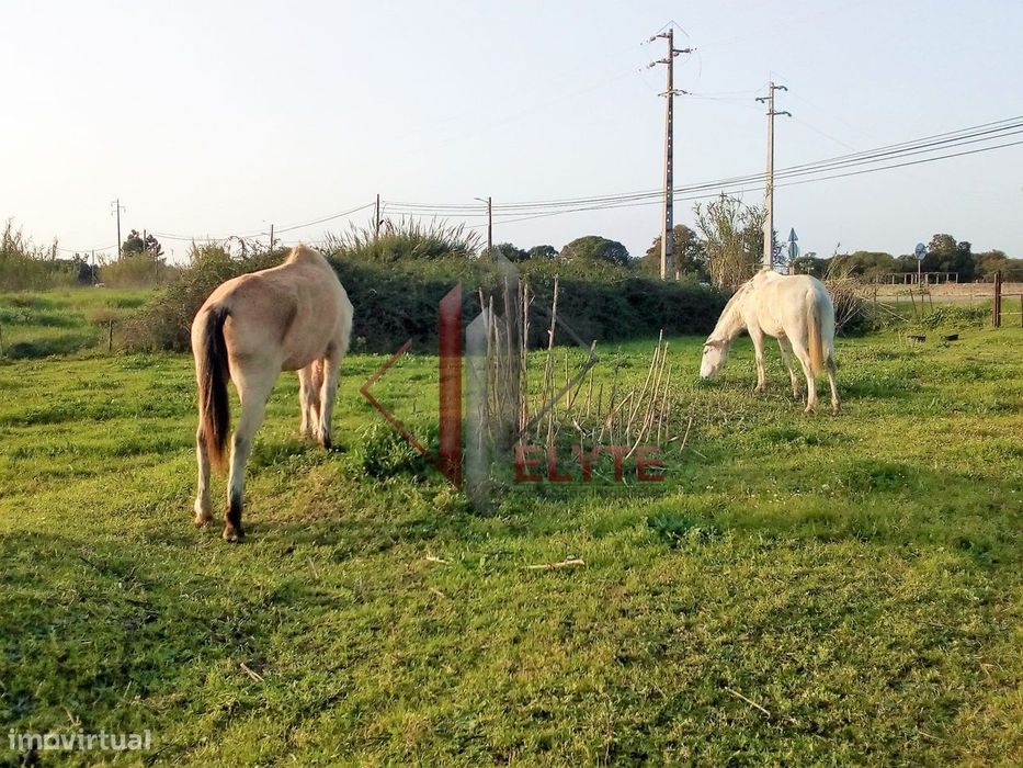 Terreno com armazém em Benavente.