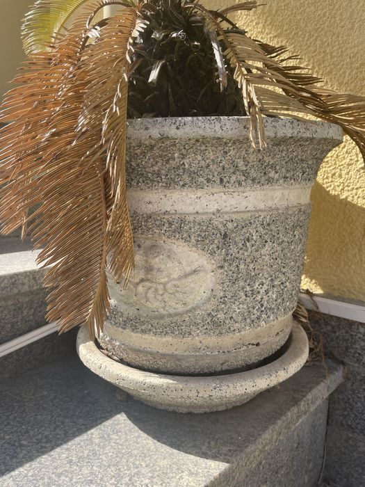 Vasos pedra - bom estado