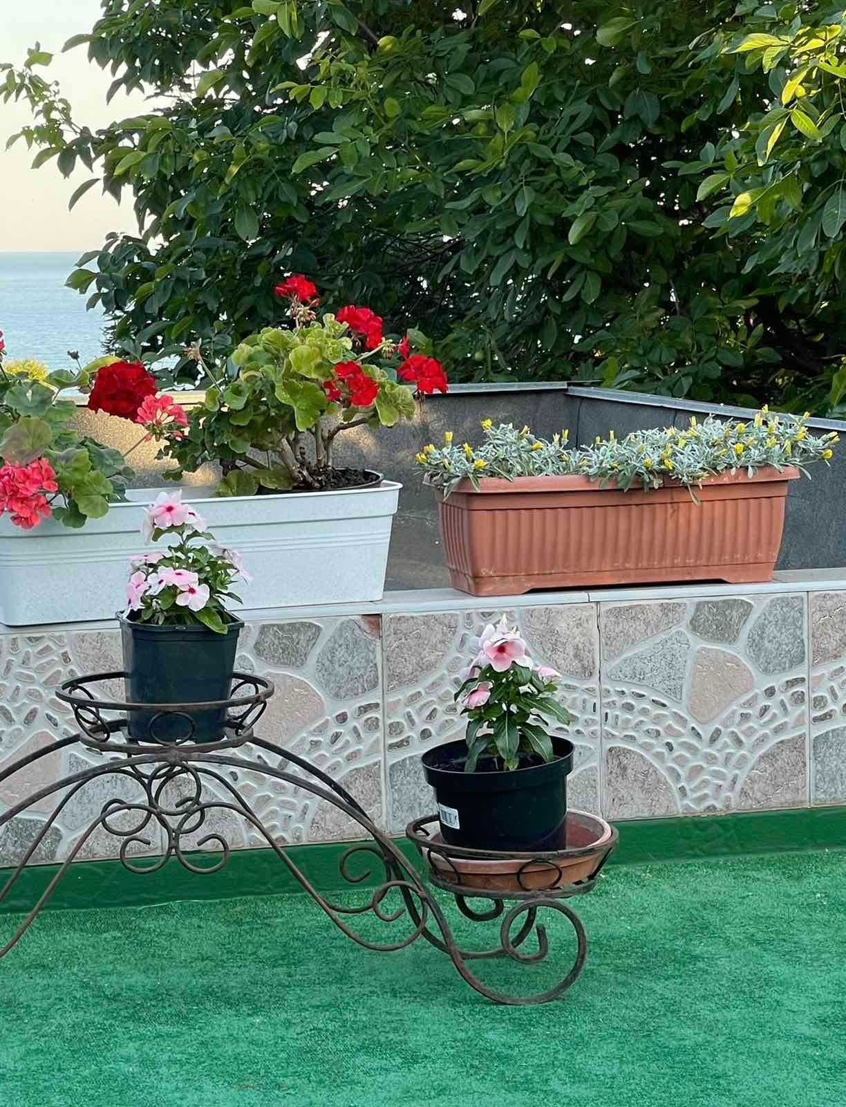 Продам коттедж возле моря ЛД