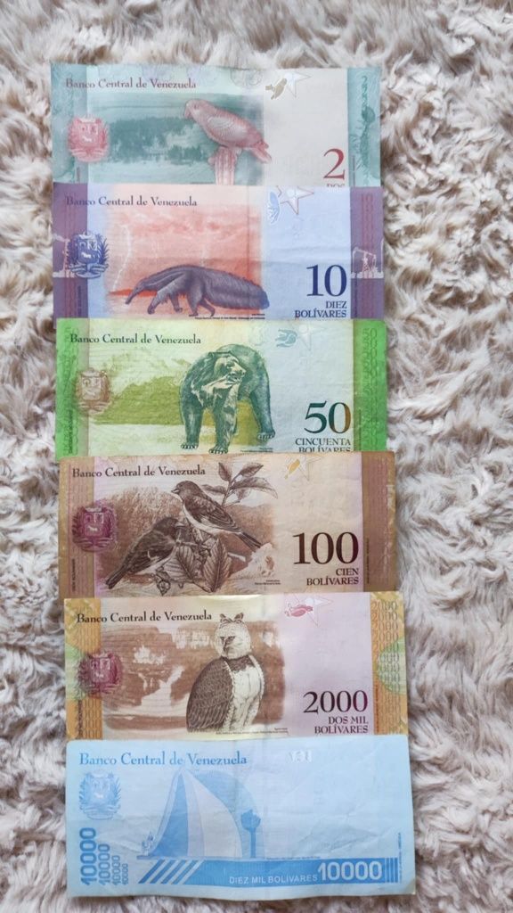 Zestaw banknotów Wenezuela