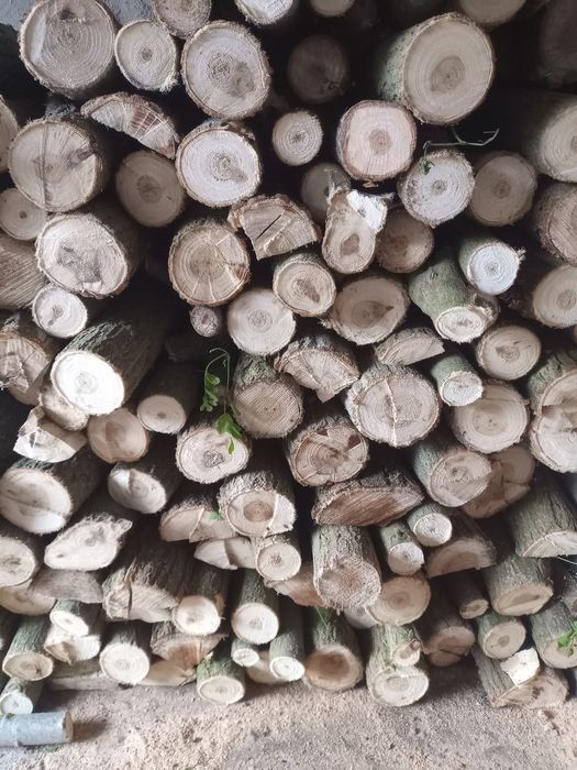 Продам дрова різані