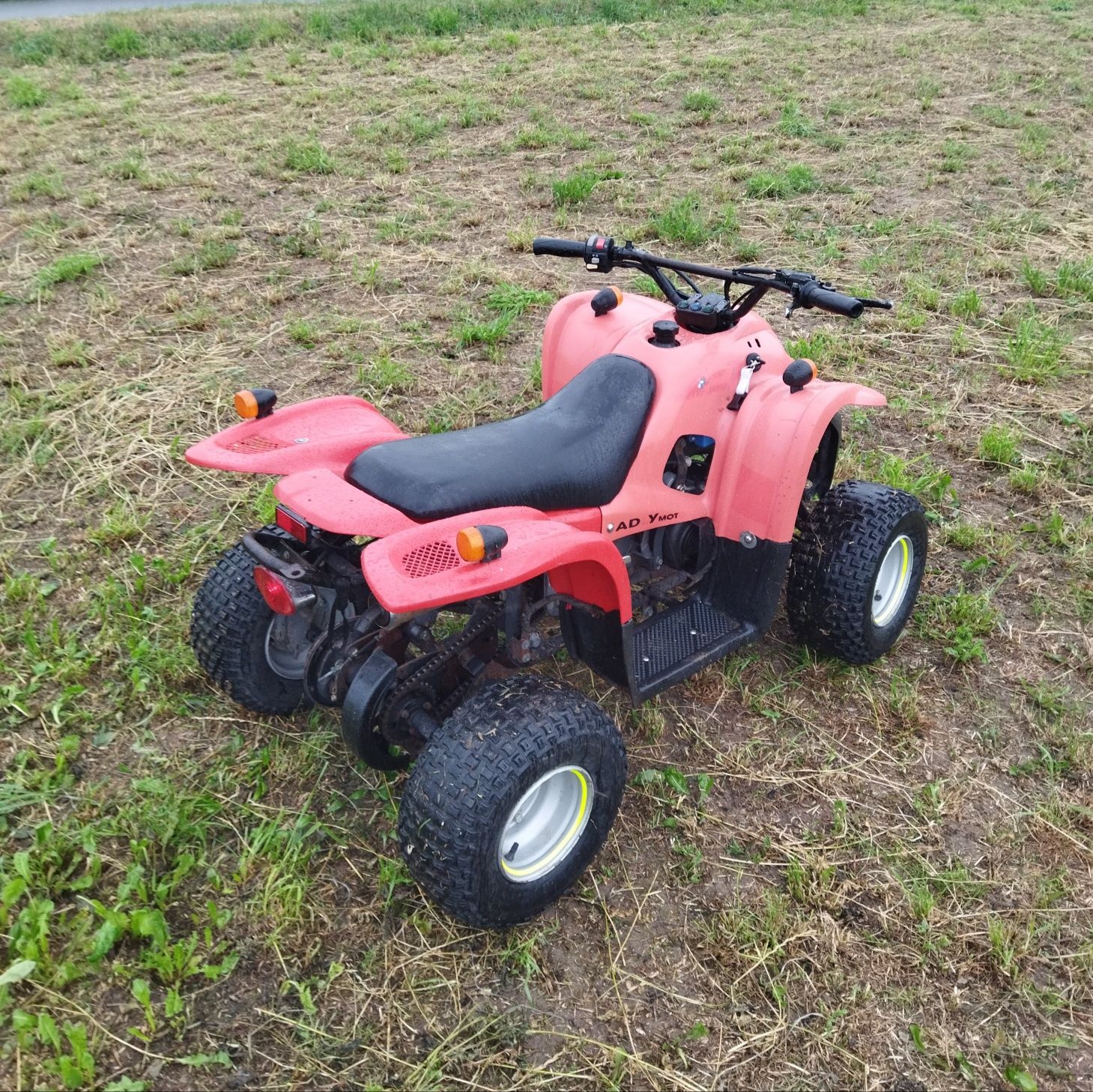 Quad Adly Fox 100 2t