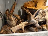 Terarium, po wiecej info zapraszam pv(do mocnej nego)