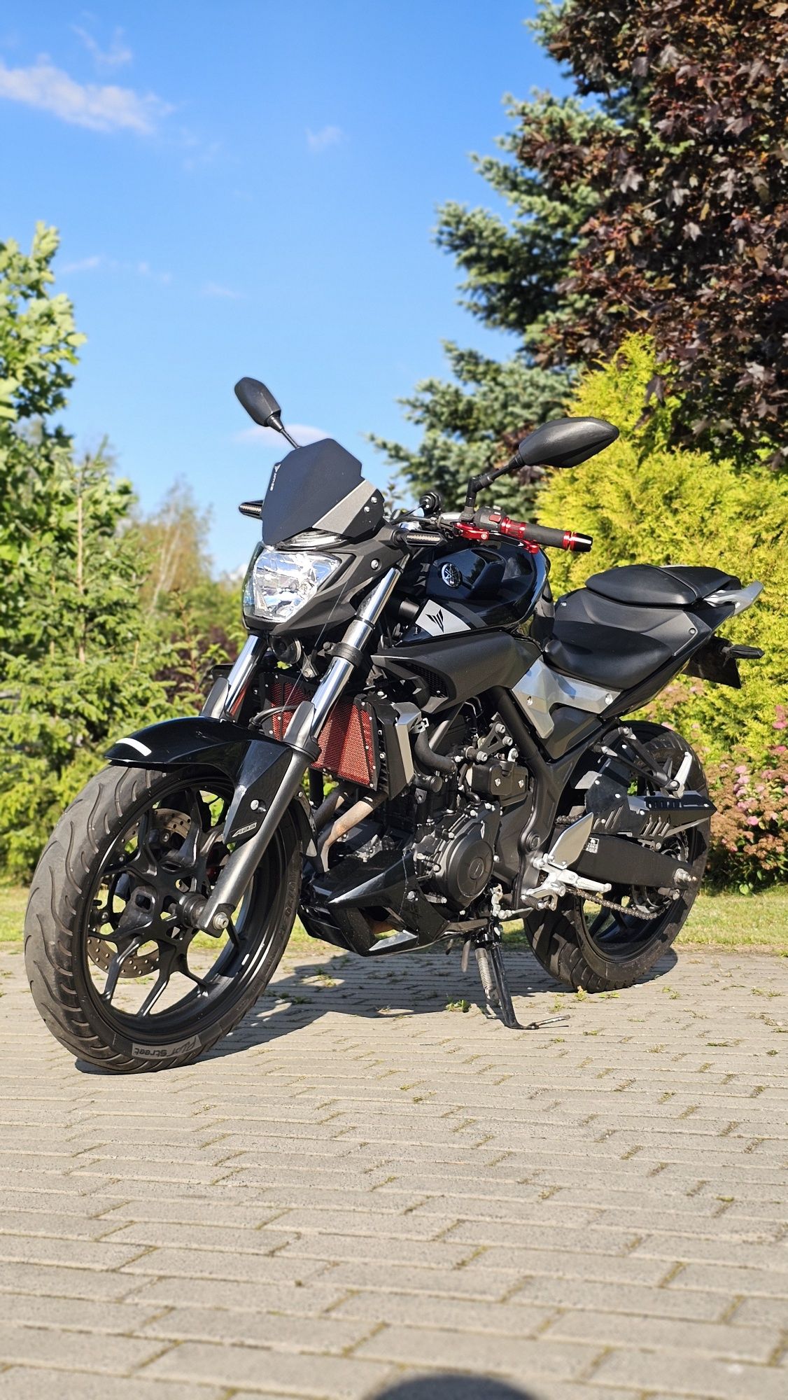 Yamaha  Mt03  A2