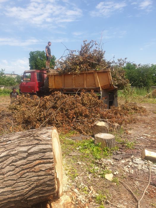 Спил дерев будь якої складності | Розчистка ділянок, вивіз сміття