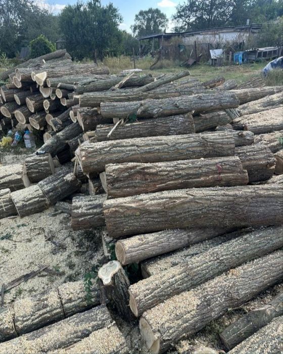 Дрова ТВЕРДИХ порід. Найнижча ціна. 1/7/10/14.5 ск/м
