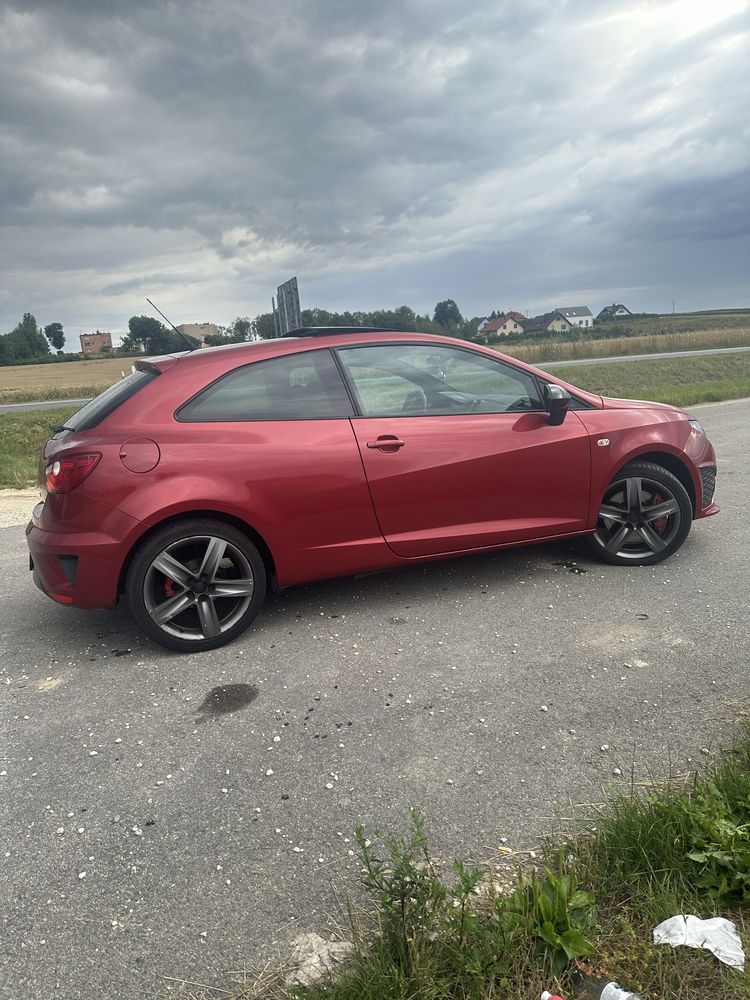 Seat ibiza 1.4 180 cupra | Bocanegra