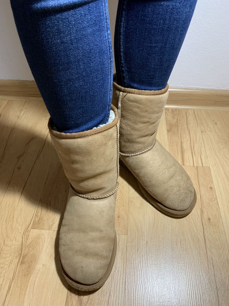 Buty UGG, classic short