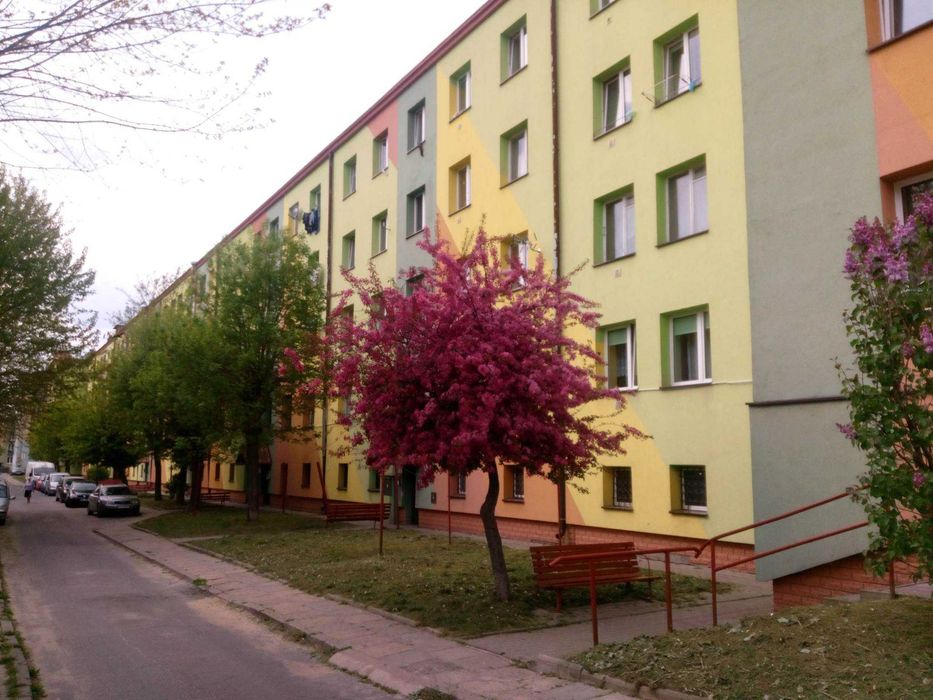 Mieszkanie 43 m Dwa Pokoje Kuchnia Korytarz Łazienka Plus Piwnica