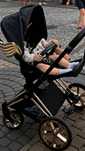 Wózek cybex jeremy scott czarny ze złotymi skrzydłami