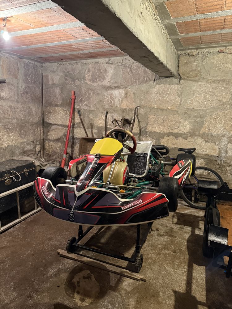 Karting Rotax Senior Max C/ Chassi Tony Kart + Muitas Extras