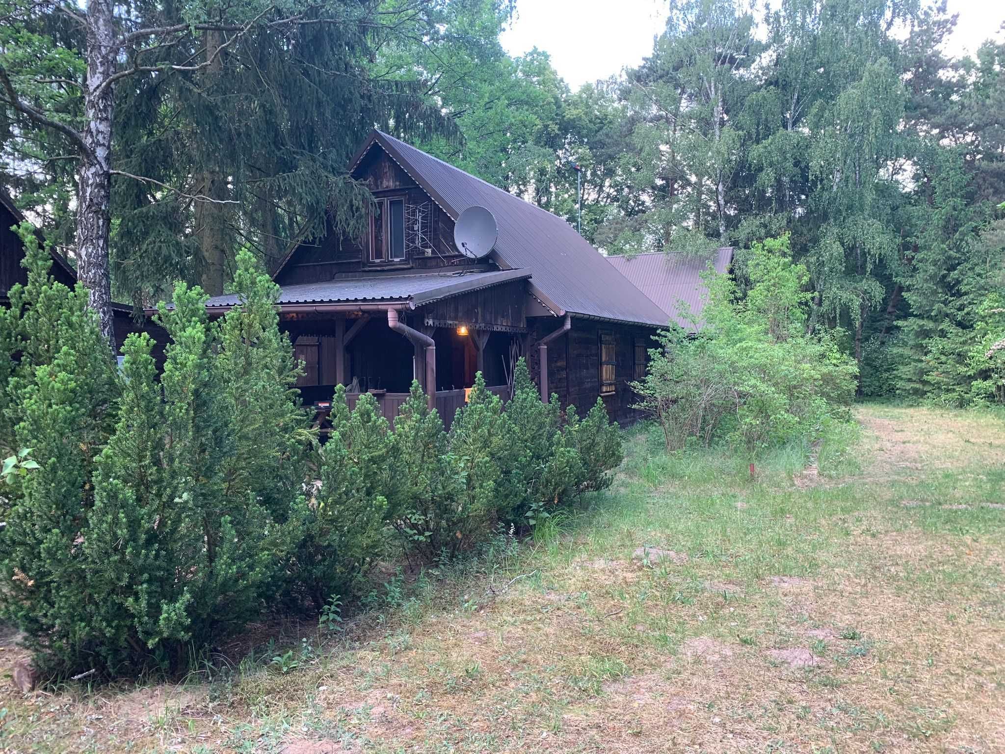 Dom z linią brzegową Narwi 2