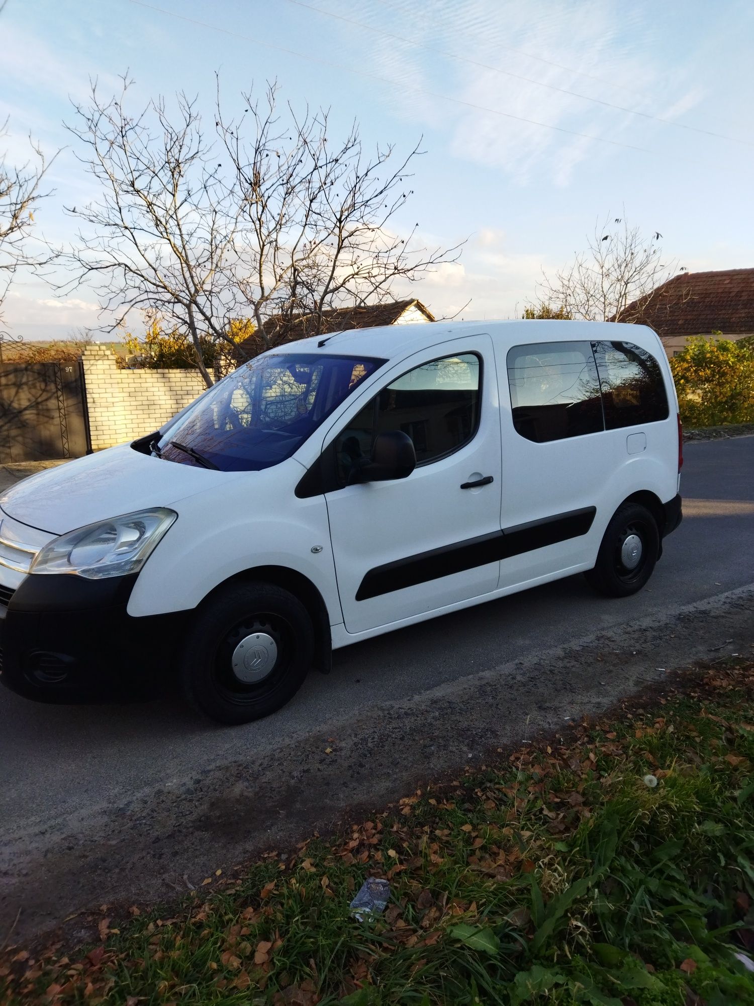 Citroen Berlingo